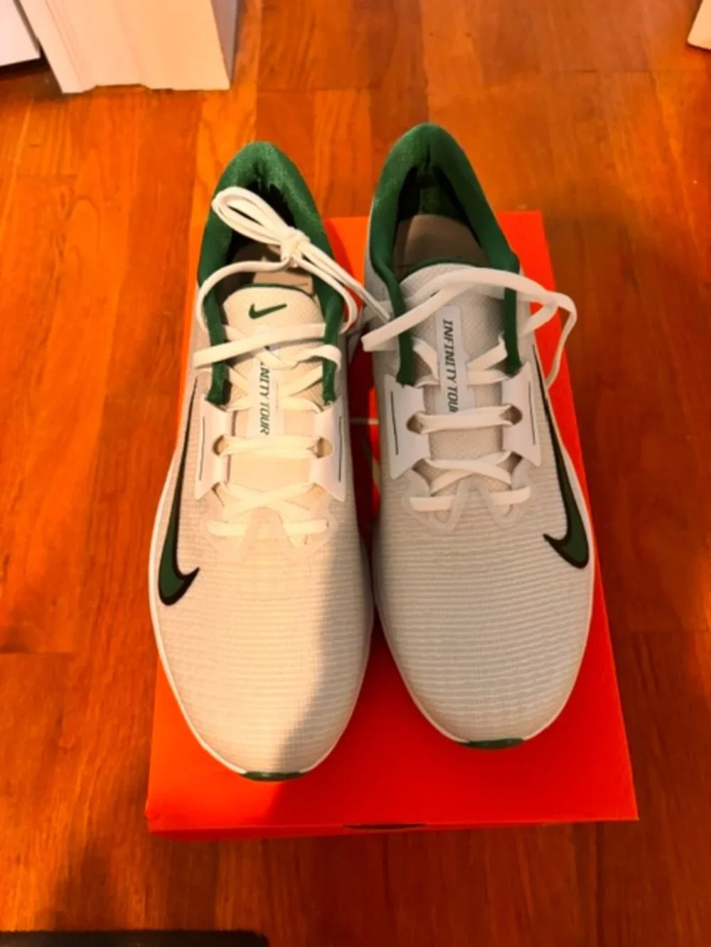 NWT Nike Air Zoom Infinity Tour 2 Golf Shoes (size 12)